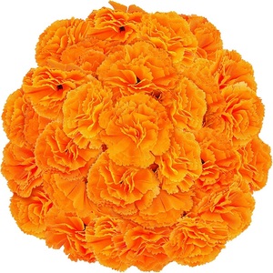 Hoa Cúc Vạn Thọ Nhân Tạo Bằng Lụa Giá Rẻ Với Số Lượng Lớn Cho Trang Trí Đám Cưới Halloween Ấn Độ - Product Image 2