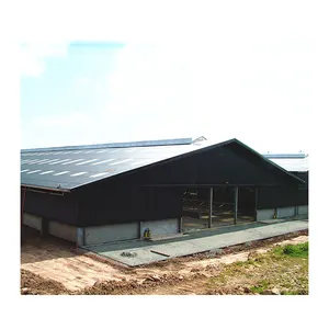 Easy Established Steel Structure Cow Farm Building Steel Structure Cow Dairy Farm For Sale