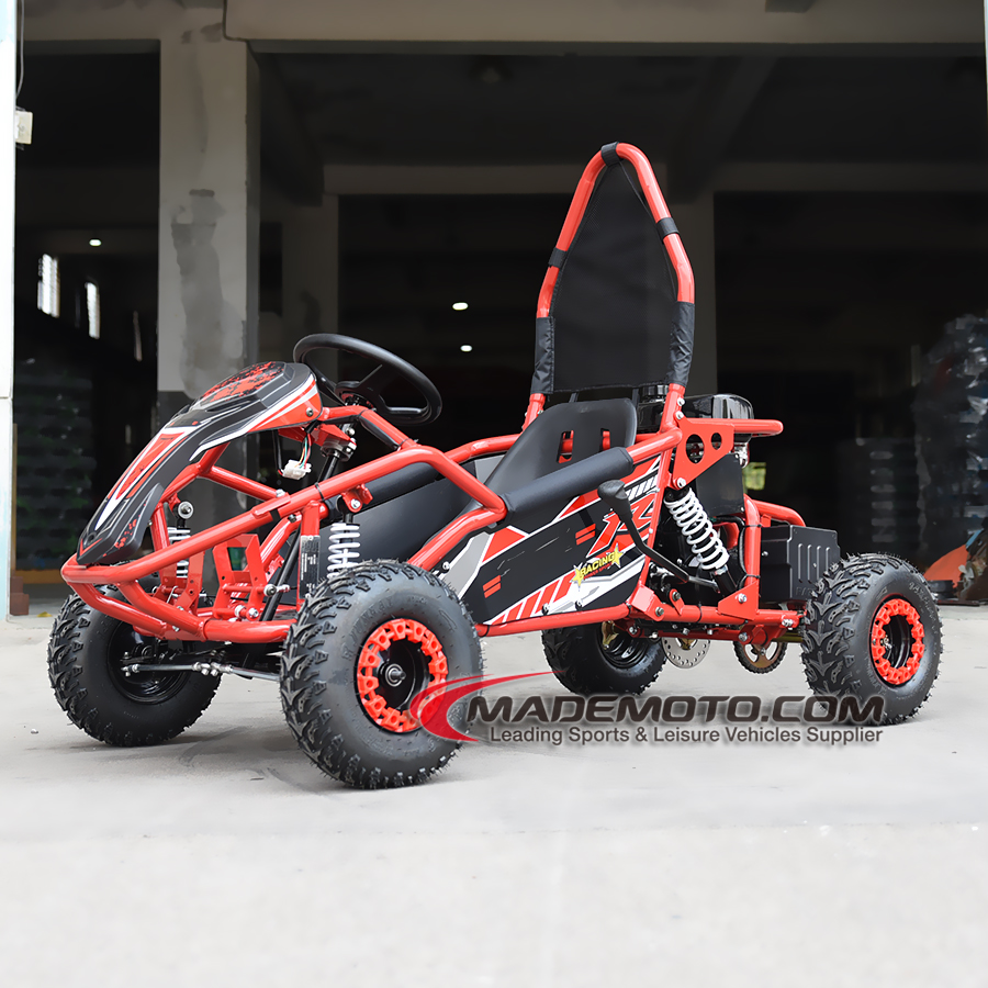 Kart Cross 600cc High Performance Electric Go Kart with 1000W Motor