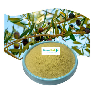 FocusHerb Usine En Gros Extrait De Feuille D'olivier Poudre D'oleuropéine 10%-80% HPLC Oleuropéine - Product Image 2
