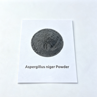 Poudre de spores d'Aspergillus Niger 5 milliards UFC/g, additif alimentaire enzymatique pour l'amélioration de la digestion des animaux (porcelets, poulets de chair, moutons)