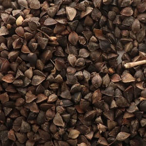 <span class=keywords><strong>Graines</strong></span> de <span class=keywords><strong>sarrasin</strong></span> grillées brutes en gros - Product Image 3