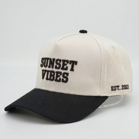 Casquette de baseball sportive bicolore à 5 panneaux avec broderie 3D en relief personnalisée, style streetwear courant