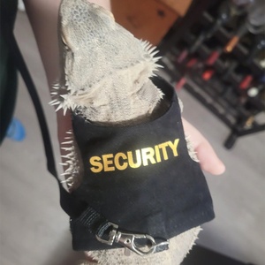 Correa de Lona para Lagartos, Arnés para Reptiles, Correa para Camaleones y Ardillas, <span class=keywords><strong>Ropa</strong></span> y Accesorios para Mascotas Pequeñas - Product Image 3