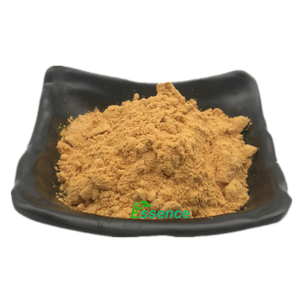 Натуральный фитоэстроген, экстракт соевых бобов, Изофлавон, порошок 40% изофлавонов, дайдзеин генистеин - Product Image 2