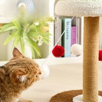 Arbre à chat, tour d'escalade, griffoir en sisal, jouet, poteau à griffer avec éléments interactifs