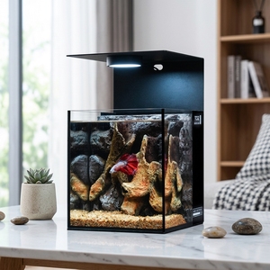 超透明玻璃斗鱼鱼缸后置过滤器水族箱套装 10 升方形桌面装饰鱼缸 - Product Image 3