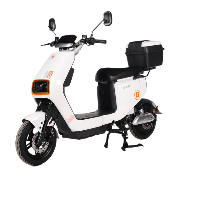 Electric Bicycle in Elegant Style with Reliable Lead Acid Battery