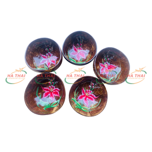 Peinture Bol de noix de coco Peinture unique Bol de coquille de noix de coco Fait à la main Design personnalisé Art laqué pour la maison, les cadeaux, la décoration - Product Image 1