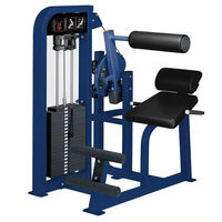 Banc de musculation commercial pour extensions dorsales - Chaise romaine - Construction en acier durable, design de sécurité réglable - Équipement de gym pour le renforcement du tronc, des dos et des bras