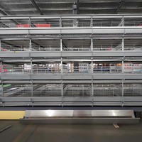 Dernier modèle de cage pour volailles : cage automatique pour poulets de chair et poules pondeuses