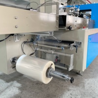 KD-450D Haoyuan Bas Prix Oreiller Type Automatique Serviette De Tissu Serviette Sanitaire Multifonction Machine D'emballage