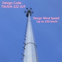 Torre de Telecomunicaciones Monopolar Galvanizada de 30m con Tecnología Profesional para Sitio de Red 5G Urbana