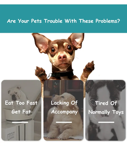 Yeni moda interaktif köpek oyunu çanaklar IQ eğitim yavaş besleyici meydan tedavi dağıtım bulmaca oyuncaklar evcil hayvanlar için - Product Image 3