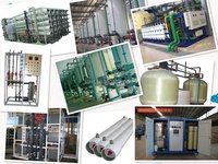 Noyau industriel de générateur d'ozone d'usine d'osmose d'inversion de dialyse 500LPH comprenant la purification d'eau de moteur de PLC de pompe pour l'usage à la maison