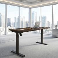 Cadre de bureau ergonomique électrique réglable en hauteur, construction métallique, moderne, extensible, convertible, fixation murale, bureau de luxe
