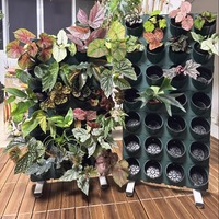 Système hydroponique vertical d'intérieur et d'extérieur pour légumes, herbes, jardinage sur balcon, mur végétal vertical, support de plantation