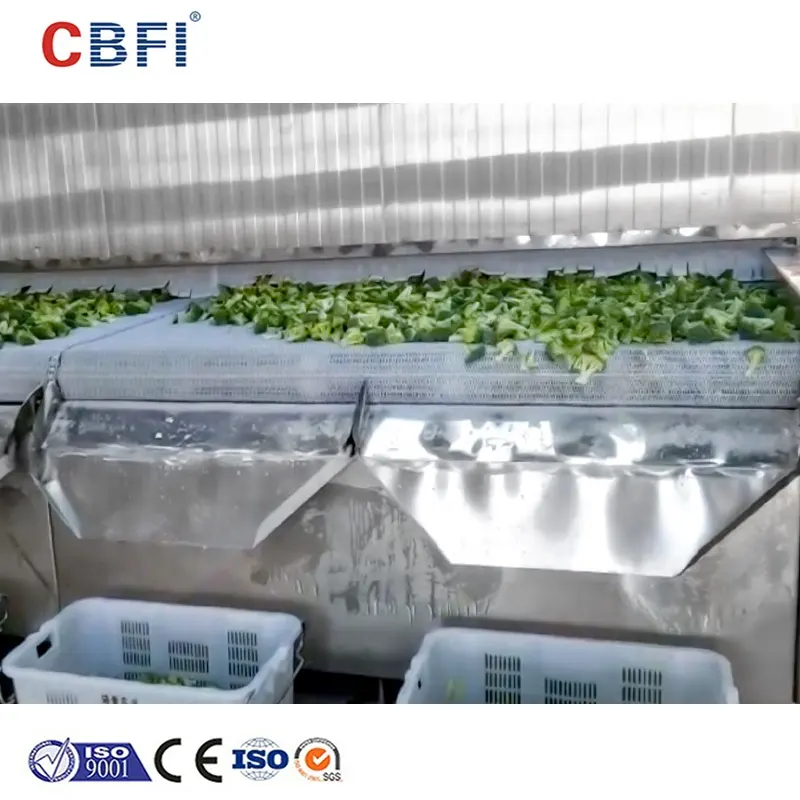 工場価格作物野菜IQFトンネル冷凍庫冷凍グリーンブロッコリー、丸ごと小花をカットして販売用バルク小売パッキング