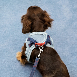 Moda de lujo Respetuoso con el medio ambiente Easy Walk Dog <span class=keywords><strong>Cat</strong></span> Arnés Correa para el pecho para perros a prueba de explosiones Cuerda de plomo ajustable antirotura S,M,L - Product Image 4