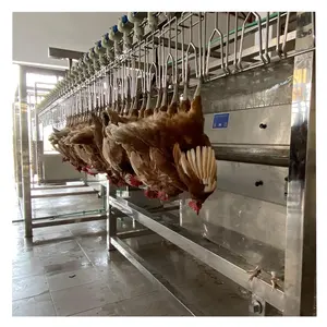 Linha de abate de frango linha de processamento de abate de frango de aves máquina de caldo de frango