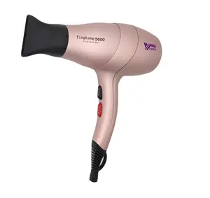 Secador de cabelo profissional, secador de cabelo profissional de alta potência para salão de beleza com 2200 watts bldc