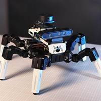 Robot Hexápodo Biónico Muto RS AI de 18 DOF, Modelo Grande, Logra Interacción y Navegación con Mapeo 3D para ROS2 Raspberry Pi 5