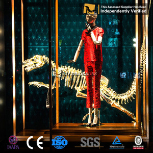 MON <span class=keywords><strong>DINO</strong></span> DS-009 Attrayant Personnalisé Dinosaure Squelette D'or pour L'exposition - Product Image 6