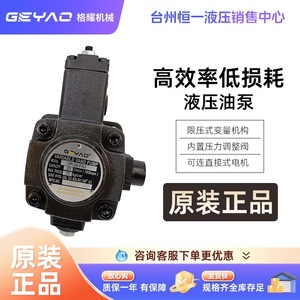 ปั๊มไฮดรอลิกแบบใบพัดปรับได้ Geyao รุ่น VP-15/20/30/40-FA3 กำลัง 2 แรงม้า สำหรับใช้งานในอุตสาหกรรม - Product Image 1