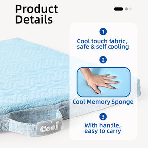 Neuankömmling Haustier Cooles Bett Sommer kühlung Touch Stoff <span class=keywords><strong>Cool</strong></span> Memory Sponge Travel Hunde bett Kissen Mit Griff - Product Image 2