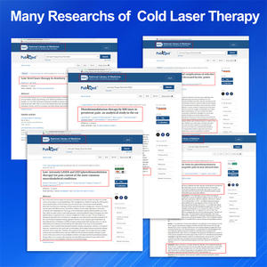 Alat terapi <span class=keywords><strong>Laser</strong></span> merah portabel, perangkat genggam terapi <span class=keywords><strong>Laser</strong></span> merah portabel untuk di mana saja, penyembuhan tisu sebagai peralatan medis untuk hewan peliharaan - Product Image 6