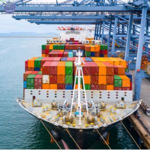 Trung Quốc để Chennai, Ấn Độ giá rẻ củng cố FCL/lcl từ Ningbo/Thâm Quyến/Quảng Châu Khoảng 6-13 ngày exw Fob CIF 20ft 40ft - Product Image 4