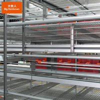 Cage de bien-être pour poulettes avec contrôle automatique du climat et abreuvement, type H, galvanisée à chaud, pour l'élevage en batterie de poussins d'un jour
