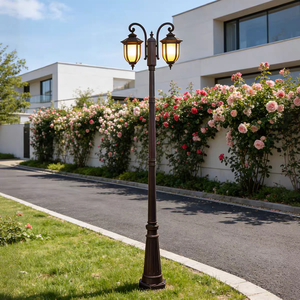 Ampoule Néon Électrique Extérieure Européenne E27 IP65 Étanche Blanc Chaud pour Jardin, Tête Simple/Double, Noire - Product Image 2
