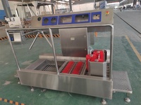 Automatische Edelstahl-Schuhwaschmaschine für Schlachthöfe