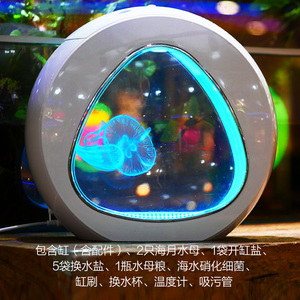 Acquario in Acrilico con Illuminazione LED Sfumata, Piccola Vasca per Pesci Fai-da-Te per Casa e Ufficio - Product Image 6