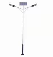 Lampadaire public commercial à induction 100W IP65 étanche, éclairage LED solaire DC pour routes et jardins