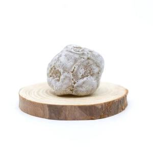 Complément alimentaire à base d'enzyme de prune personnalisé OEM pour la perte de poids, favorise la gestion du poids, améliore le métabolisme, enzymes de prune - Product Image 2