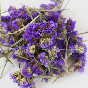 Venta al por mayor de cabezas de flores de olvido-mi-no-te-olvides secas a granel para decoración de bolsas, velas, tarros de cristal, material de manualidades DIY, paquete. - Product Image 6