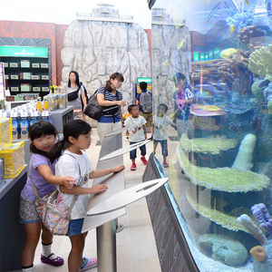 <strong>Aquariums</strong> <strong>Aquarium</strong> &amp; Accessory Type and Eco-Friendly Feature Marine <strong>Acrylic</strong> Fish Tank - Product Image 4