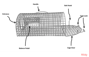 Piège à rats en métal en gros, <span class=keywords><strong>cage</strong></span> en acier multi-usages pour la capture de rats lourds, contrôle des rongeurs, piège à souris dans la cuisine RM005 - Product Image 4