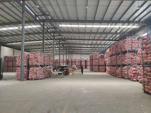 价格优惠5厘米新鲜白蒜批发，包装完美，质量高 & ISO9001热卖普通白蒜出口 - Product Image 4