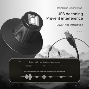 Depusheng A12 USB Có Dây Chơi Game Microphone Máy Tính Chuyên Nghiệp Micro Ghi Âm K Bài Hát Cho Phòng Thu - Product Image 5