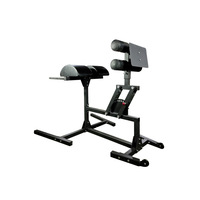 Muscle Up Training Machine Glute Ham Developer Commercial Cross fit Glute Ham Raise Developer Bench Station GHDG Machine Bench