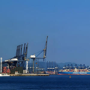 Transporte de carga de China a Brasil <span class=keywords><strong>Argentina</strong></span> Chile Perú DDP DDU agente de carga agente de servicio logístico profesional - Product Image 5