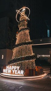 Vente directe d'usine, <span class=keywords><strong>petit</strong></span> volume, structure spéciale, arbre <span class=keywords><strong>de</strong></span> <span class=keywords><strong>Noël</strong></span> d'extérieur avec boules décoratives et guirlandes lumineuses, nœud papillon - Product Image 3