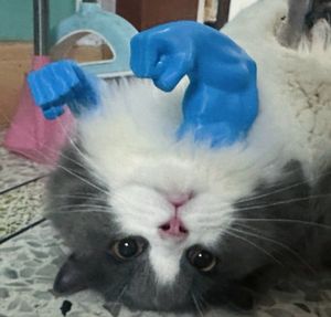 Accesorios <span class=keywords><strong>para</strong></span> mascotas con impresión en 3D <span class=keywords><strong>para</strong></span> gatos, compañero <span class=keywords><strong>para</strong></span> deportes y entretenimiento, características del brazo de <span class=keywords><strong>Hulk</strong></span> - Product Image 4