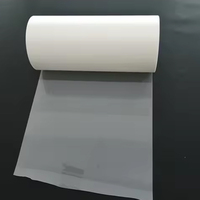 Film de transfert numérique DTF PET de qualité supérieure, pelable à chaud, double face mat, qualité supérieure, rouleau de 30 cm x 100 m
