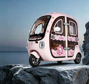 Scooter a Tre Ruote per Passeggeri con Batteria al Litio 800W 60V, Triciclo Elettrico per Adulti e Anziani - Product Image 4