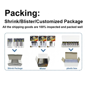 Nhà Máy Giá Rẻ Giá số lượng lớn Vibrator <span class=keywords><strong>AA</strong></span> pin OEM di động Heavy Duty 2 <span class=keywords><strong>AA</strong></span> gói Khô Alkaline pin 24 cho đèn pha - Product Image 5
