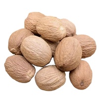 GXWW High Quality Whole Spice Cooking Seasoning Dried Nutmeg Cardamom Herb Spicy Taste Raw Processing Wholesale Price Stock